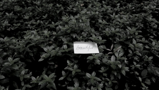 Screengrab of Something Beautiful (2017)